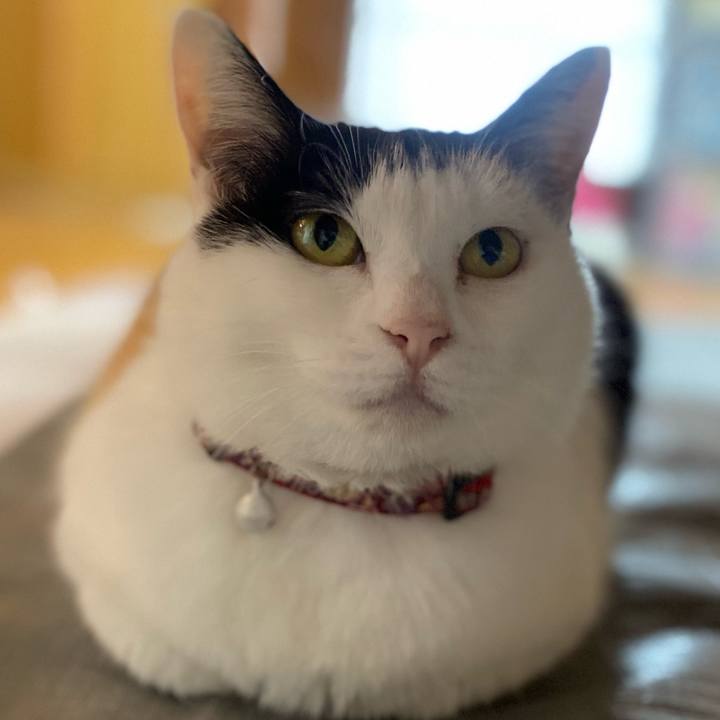 383c4488 609e 457c 99a6 743f4d7c4879 1654003376723