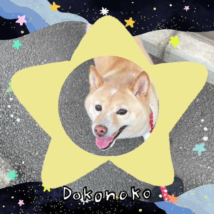 383c5106 5511 4f40 9602 027ffc09e751 1721303923978