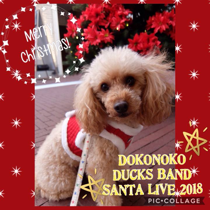 383c8b27 e280 46c8 b8b6 571d205b1c3c 1545521317725