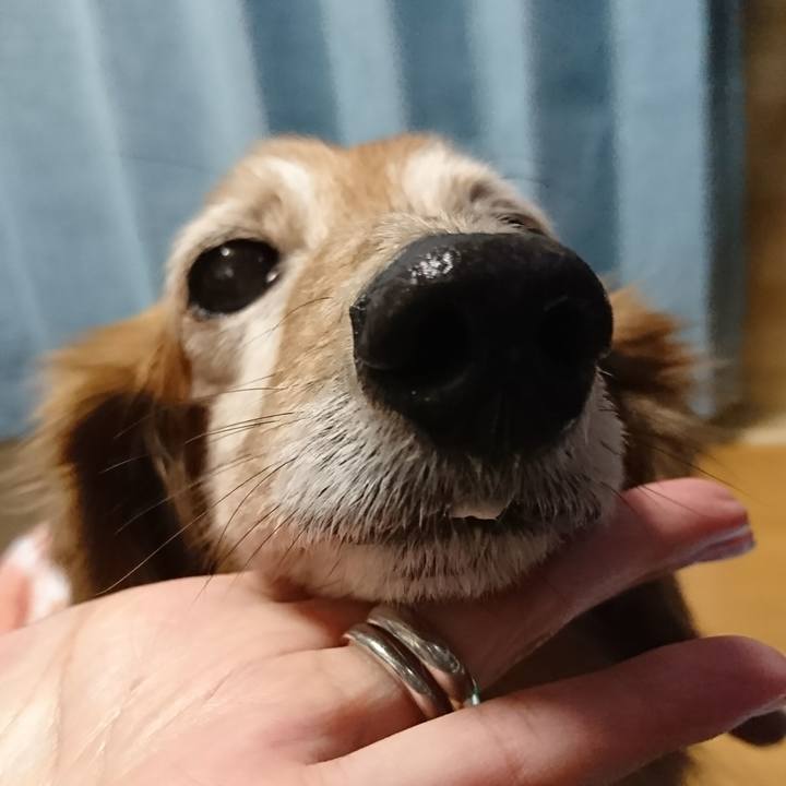 383c95c8 787b 470b bb32 fb08b24940de 1516528874556