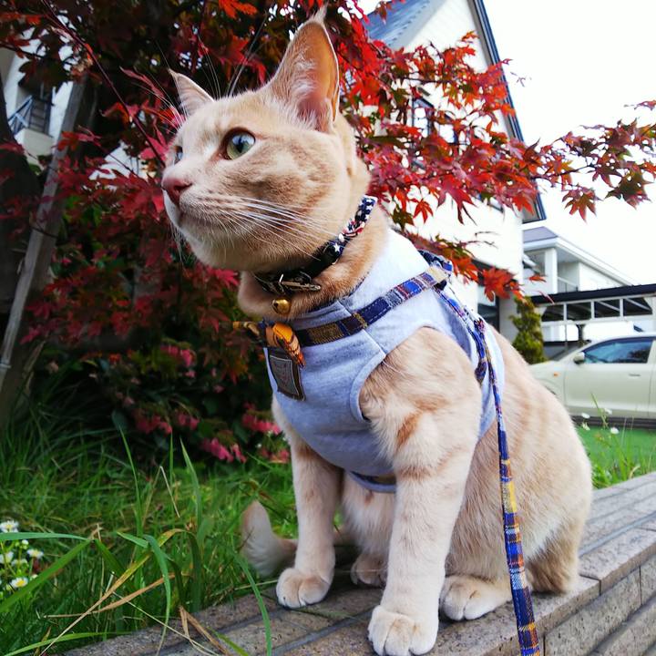 383cb06e e83e 4f68 944a e9d2c2f97692 1571958133372