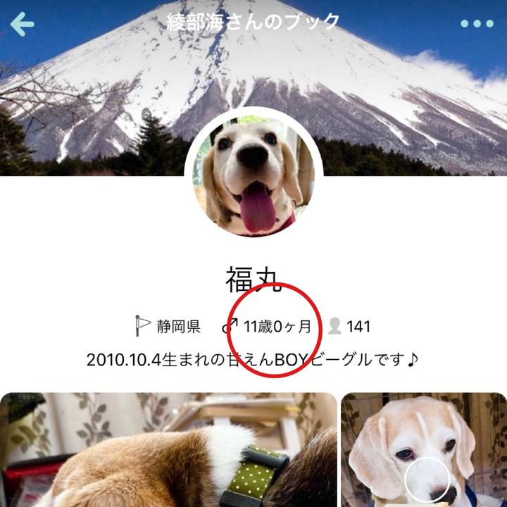 383cb578 5e1c 43c0 a861 baa2fa675a6e 1633320024136