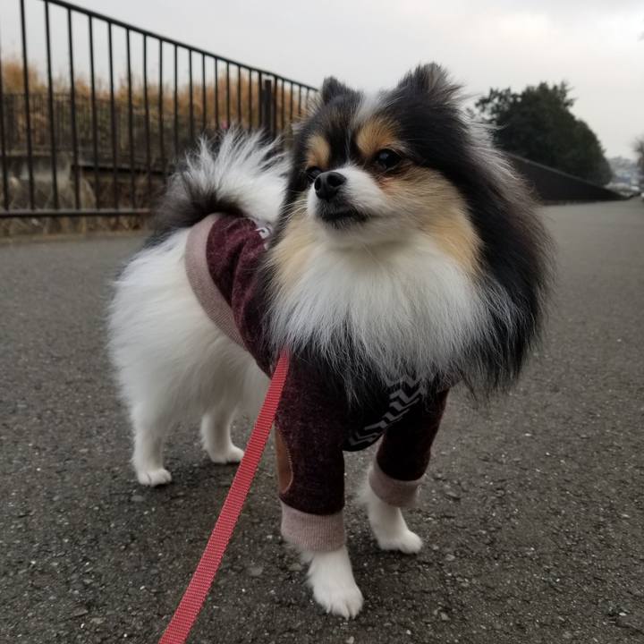 383cbcd6 7f94 4fd1 8ea8 f07319dd3d19 1549899263117