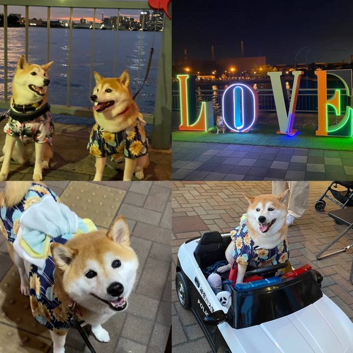 383cd9ac 1eae 4fb2 bbfb 0d9dd0f3c31d 1659252463439