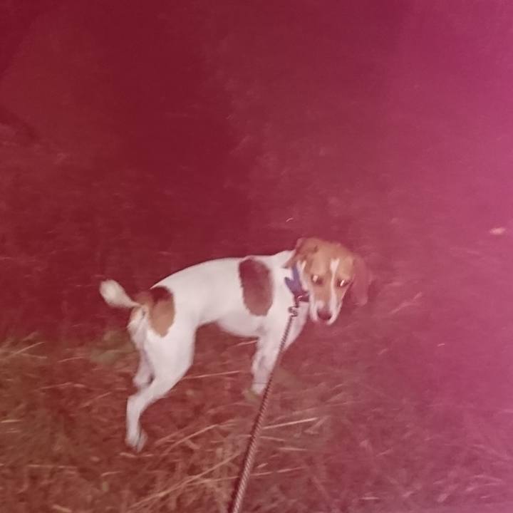 383cfab4 ad21 4f1b 86ca 79e8ef3282b0 1570889719739