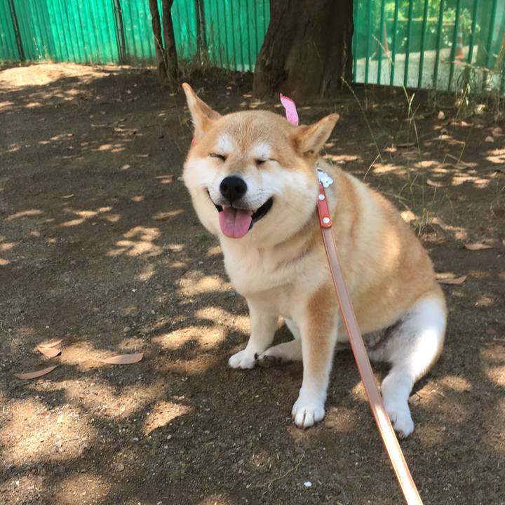 383d0ab9 c357 4068 976a d4f90276cb97 1560395098547