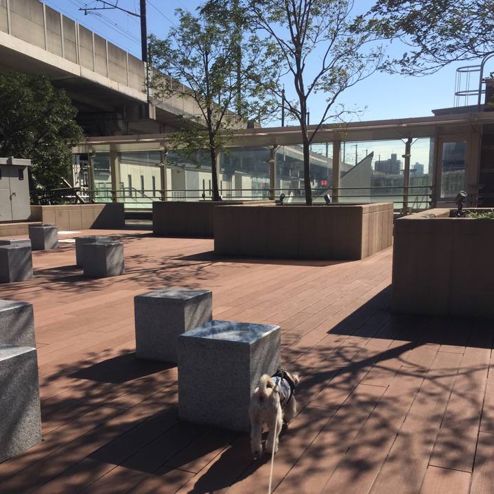 383d21ed 62ed 4e4f a065 9b730a84f65e 1541222960952