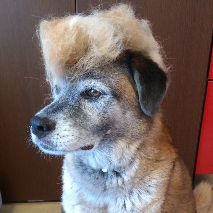 383dbb6e 4ac9 4255 936a e8a57c58d4b3 1566709034625