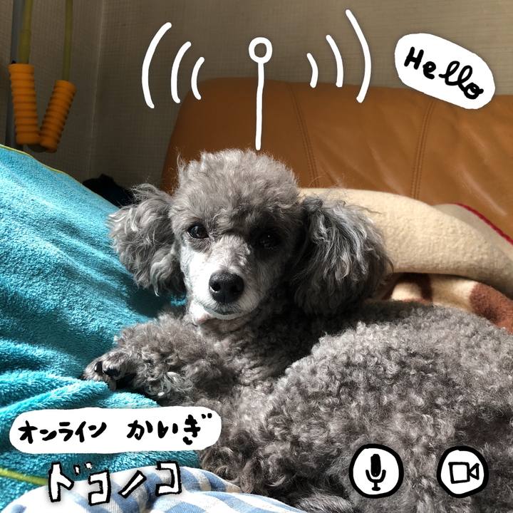 383dce7a 3712 42d2 9cc4 9fd5e8174730 1591060620647