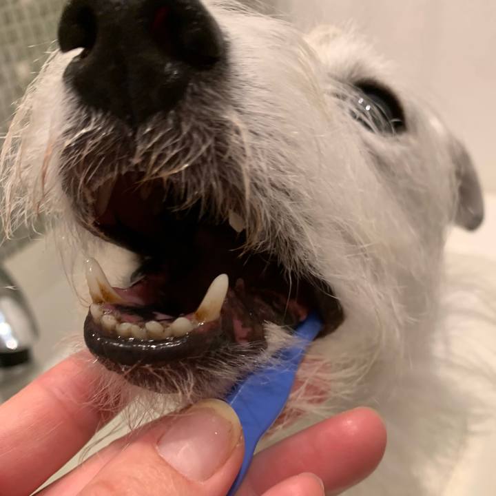 383dd36c 0938 4887 8991 abd9453e33de 1667307340425