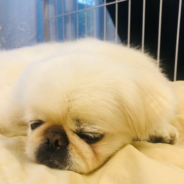 383ddaaa 0f0b 4ff6 9666 69aef440a819 1621241920728