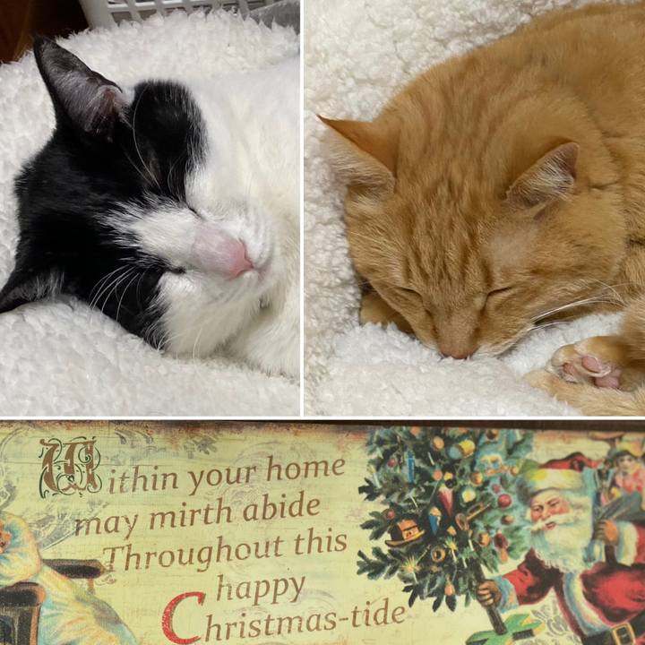 383de034 305b 4ce1 8f48 8ae7d4bf8fe1 1608811060610