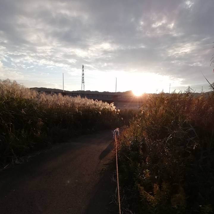 383e3503 3be1 497f 9095 23111299586d 1573429651245