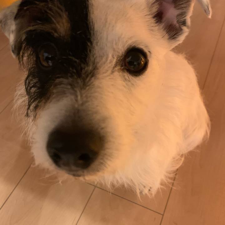 383e46a8 f2a8 4dc0 aa8a 37d7f1a2f370 1617882787192