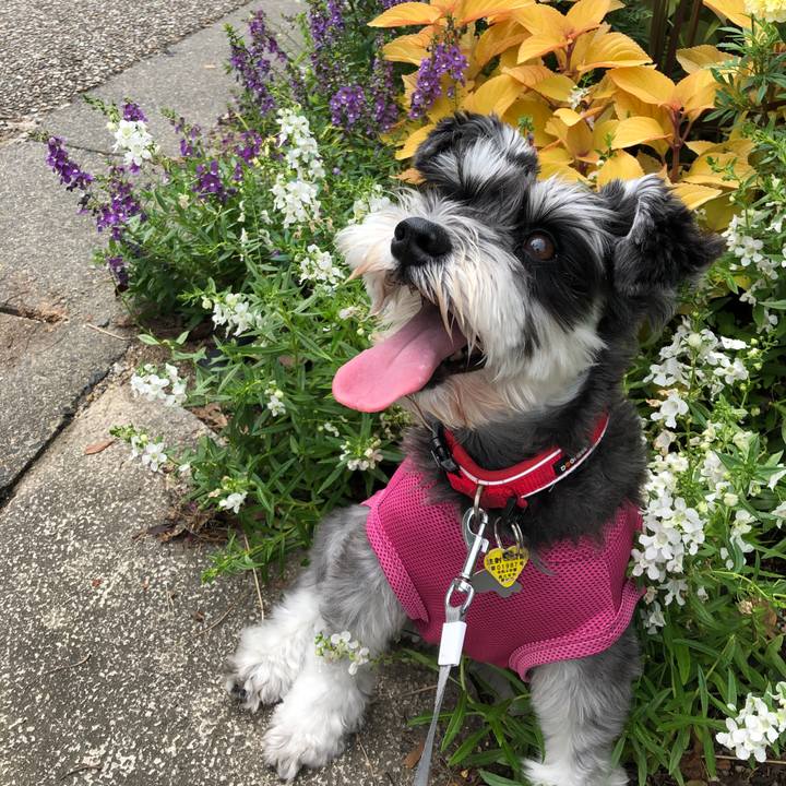 383e695e be18 4775 afd8 61a902ec59da 1661045093719