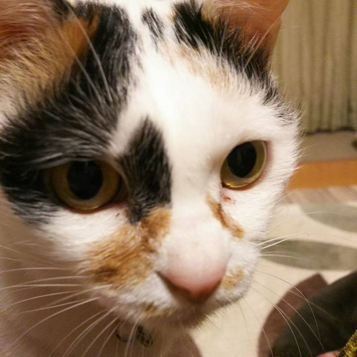 383e6af2 c0cd 4b30 8879 f658ca4fa2b7 1524229880544