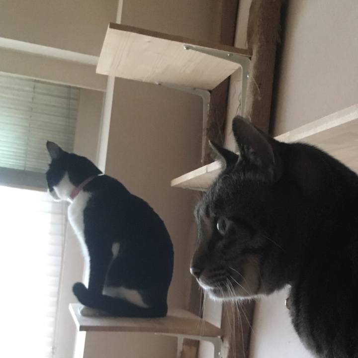 383e8fa4 abf7 4ee4 8a72 c2f109c12b40 1576993309217