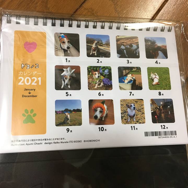 383ea625 4951 4176 95eb 63db8d96c0d2 1605828302466