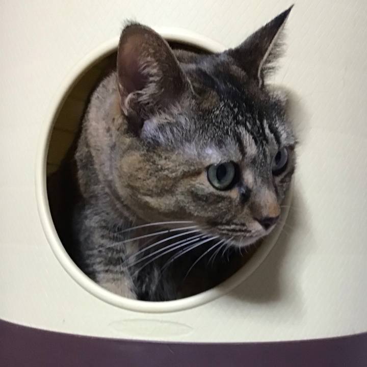 383eda08 cc61 45bc 8a2d 53837136da02 1735031207933