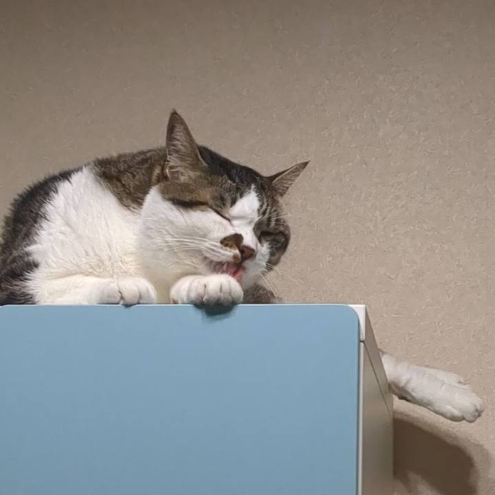 383f016a 312f 4388 a304 4b68f44d89c0 1754095047829