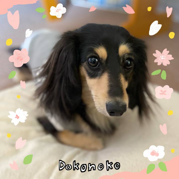 383f10fa c10c 4f44 86fb 79776504a207 1711002123888