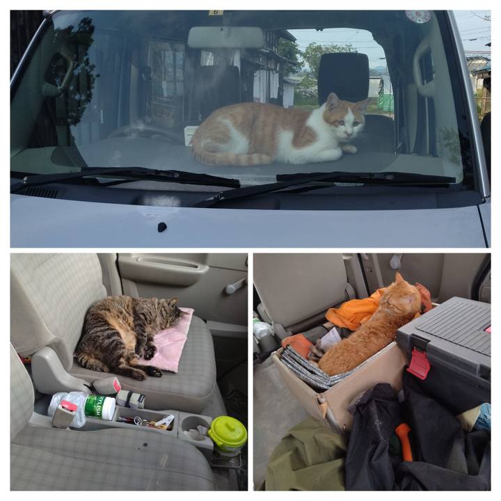 383f2cb0 b443 43fa b877 c19c21d89abd 1748335995558