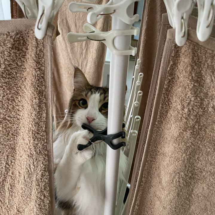 383f42da 92cd 481f 865c 1dbf25068e42 1668895245620