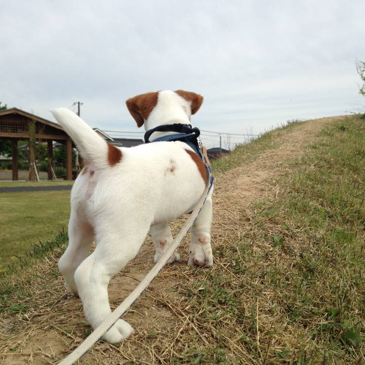 383f54f8 20a4 46e8 9416 66652b1cf1d5 1574852649134