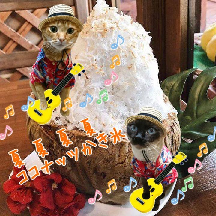 383f5d14 102f 4845 9a27 f260608acbec 1565607889330