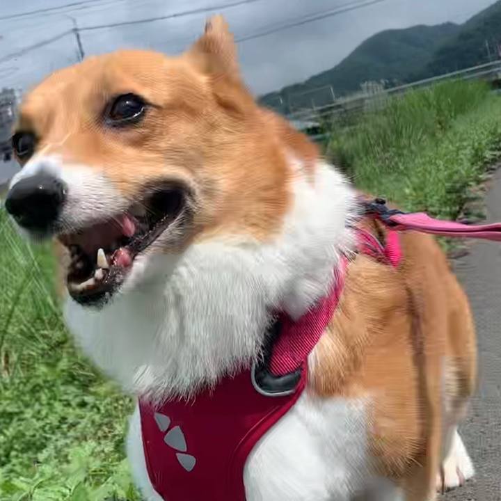 383f6d13 4b02 4b84 8f21 e7af4c3fc780 1658020584942