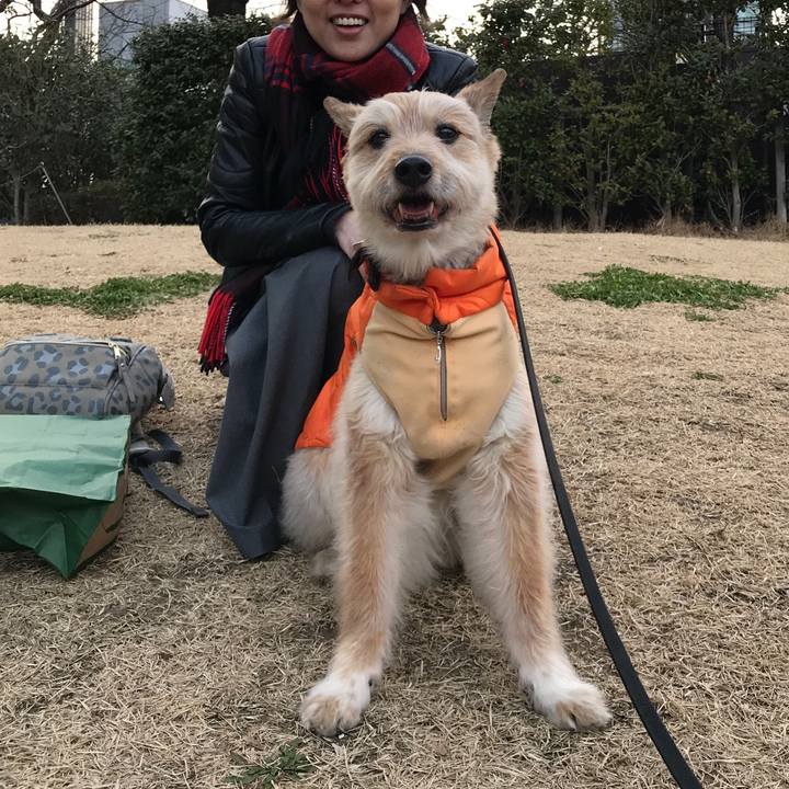 383f7b5a 17be 4825 995d cb06c64e54ce 1551072749020