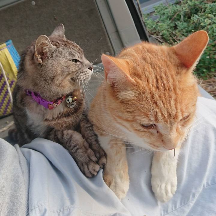 383f89ca 1c4f 4f88 b5a1 923d6f5409fd 1592426241899