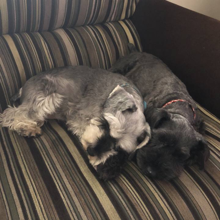 383fa291 53e7 4b89 ab5a ed7d0b2ee9cb 1526702285182