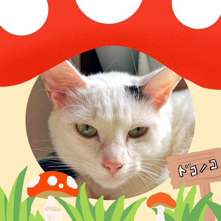 383fd642 38f1 42a8 a4e1 b35d3112063d 1731128791913