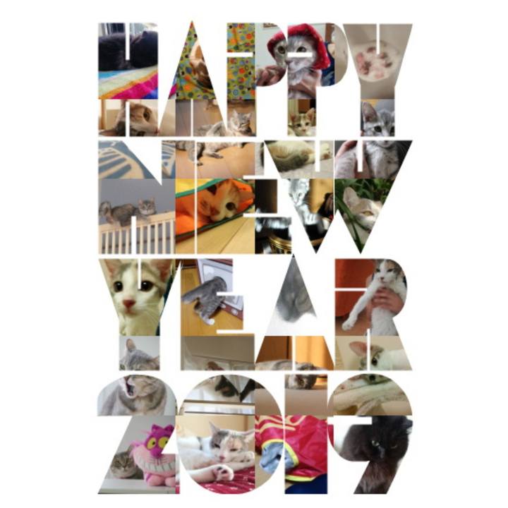 383ff150 b430 4644 b9c6 bdf4e8593a69 1546294383118