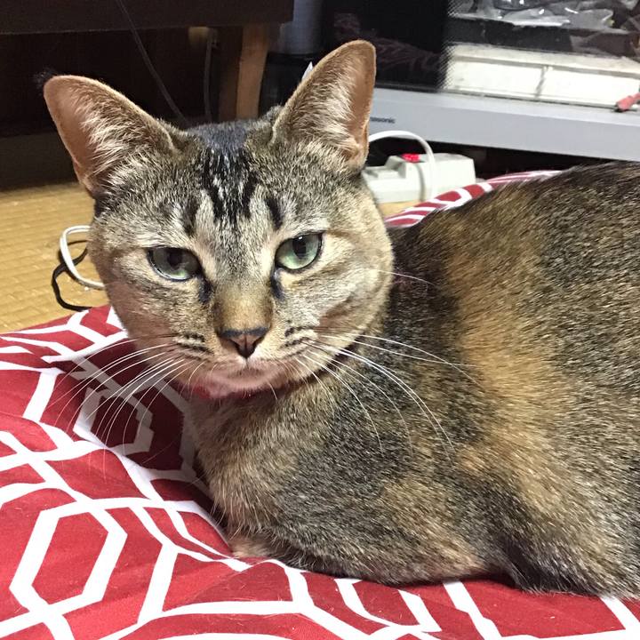 3840228f 85c4 4d33 9e2f 0f5e7d0ac7ca 1610362302388