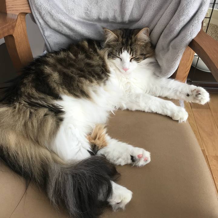 384039e3 ed6b 4d49 99c7 c431055a9804 1524115477320