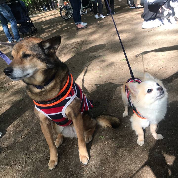 38407828 6746 41e2 9d72 a374da466831 1618751771991