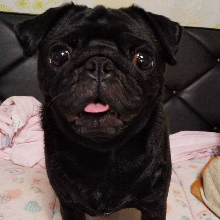 38407972 60fc 411c 9f5a 1367f0265fcd 1599564037581