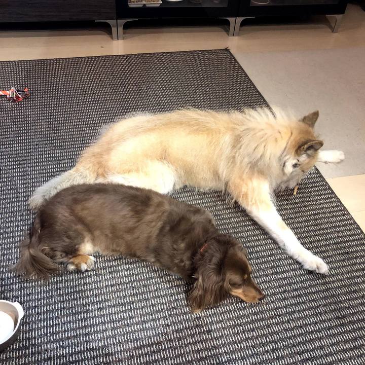 38409b0b bb60 4b81 88fc 3e0b8bf156a3 1591796379243