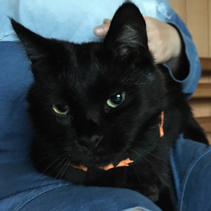 38409f25 6e6d 435d b752 fdcce6838274 1539378100361