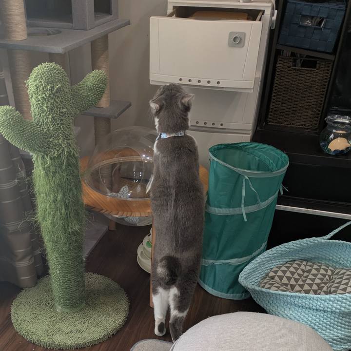 3840bfa8 d2d7 4810 ae57 9da4957c9a63 1738389694786