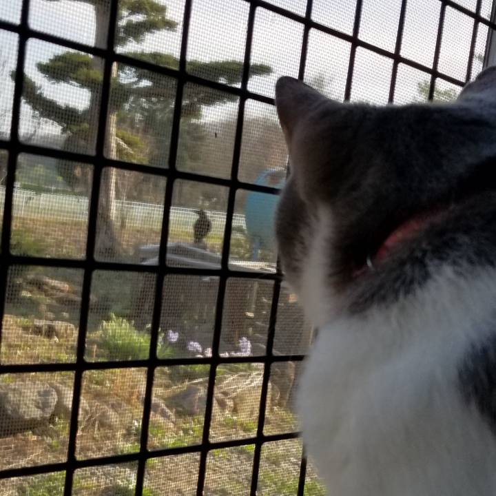 384112e0 fa81 4918 96de d1b246085912 1556954377248