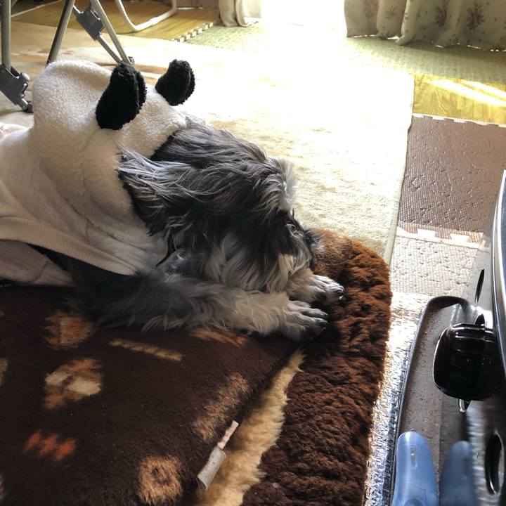 38414bee f82f 4192 a31e 01c7a78be2c2 1548556805526