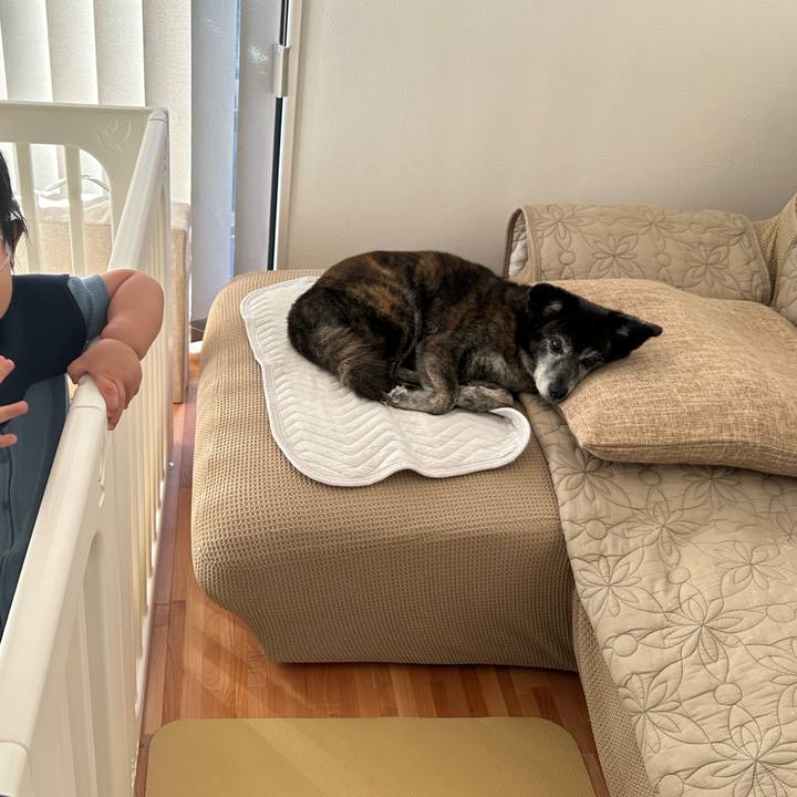 38416fb8 a87c 472c a990 010407b9d6dd 1734056121745