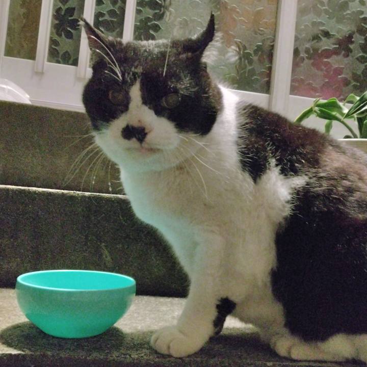 38417221 f4ad 4e7b b72d a70d42cac847 1702630299537