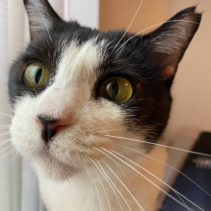 38417399 4baa 41ed bdc7 6e61a2238e5b 1718450296603