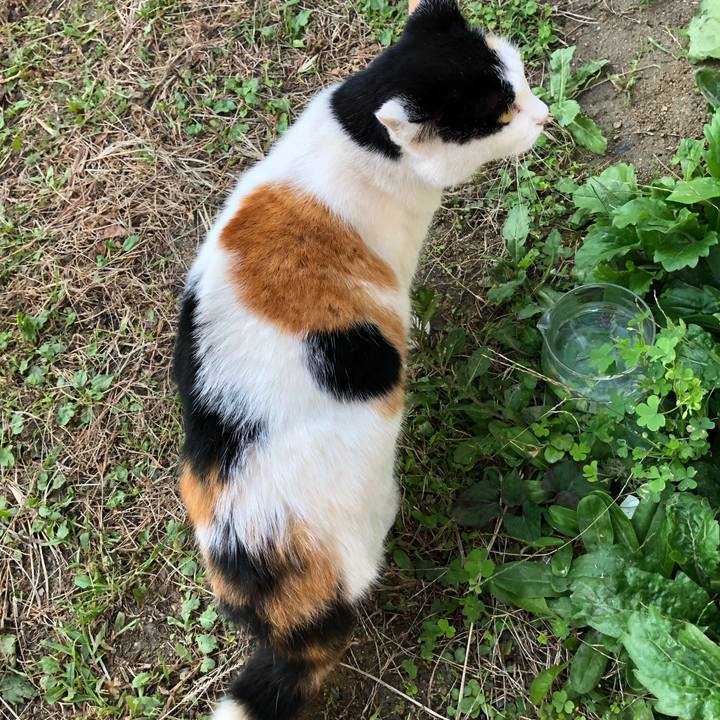 3841b6a0 693b 4ae4 9252 f1a6e6542209 1601245019411