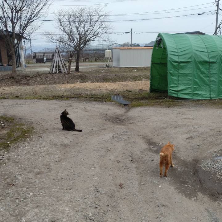 3841d1ef 5d11 4c61 be34 ebe73270c1af 1678953955904