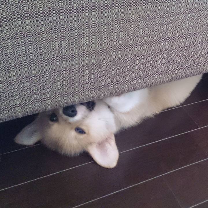 3841e49b e640 41ec 8fc2 08f9126471ad 1652712922112